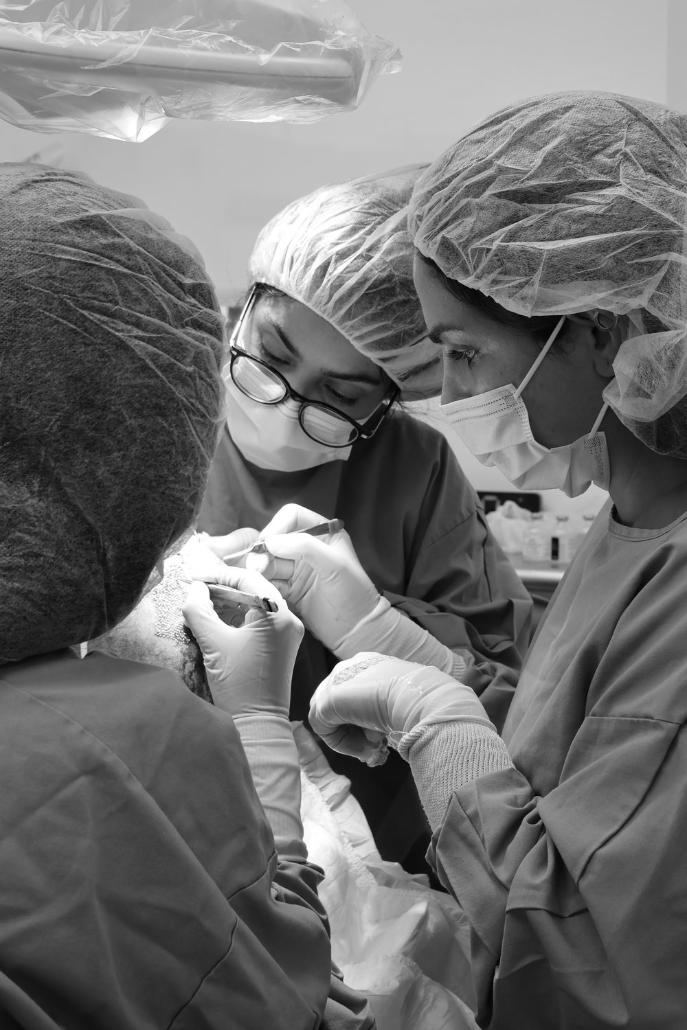 American Mane procedure documentation